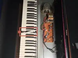 RPxuqQZKEsL1bAFH