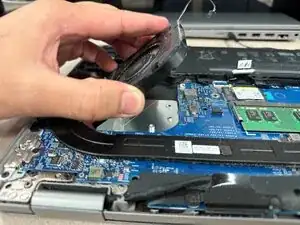 Fan