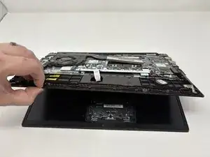 RZ2lrp4CPoxiZL2M