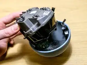 RaSXxAS6wKeuGXWY