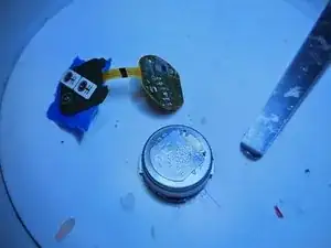 S6uKuLnkMQWEWtuR