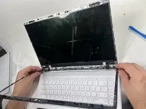 SRTGwDw5MjBWaZLU