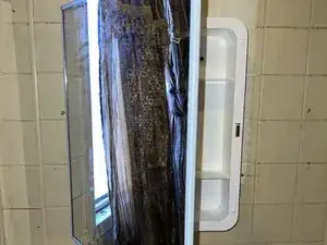 SXgkgsWZNJJVZDE1