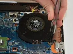 Fan