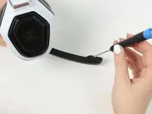 Microphone