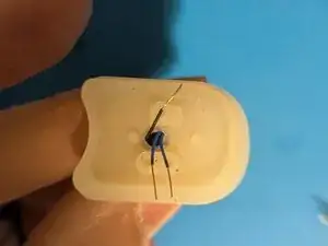 TxwdDbwCMnqMXUXt