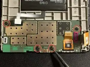 V1UmtQtyumAHOmcc