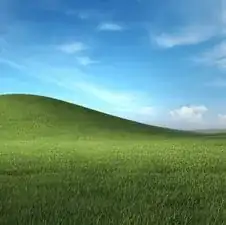 User