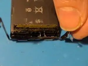 WWrg6VqNvCmsVcpO