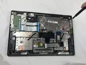 Wd2PdL2WjINJSdeD