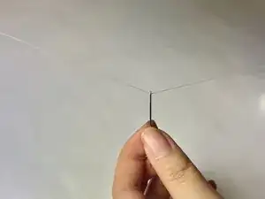 WhhwLPTokYcHCiRK