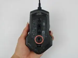 WxR6ADjuNNoTFK64