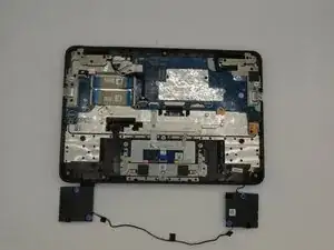 WyBdtHii4LZRJ1tK