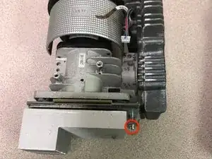 XDLRObT1KtHiVIVA