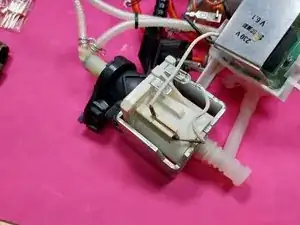 XGaduyITUkMLpTJR