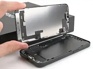 Screen