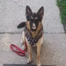 User