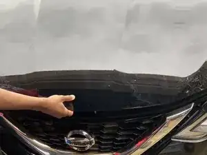 Windshield Wiper Fluid