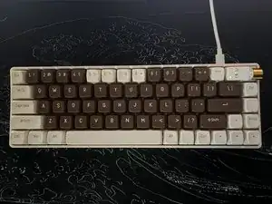 XuBViPtMtaGKRWOe