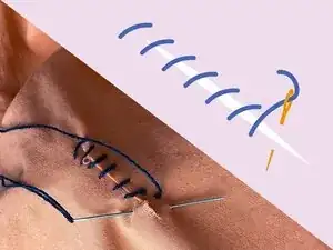 Whip Stitch on a Tear