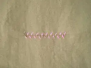 YCLr1DO3b5nTnQ6H