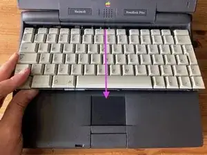 YLYQMonssnJ1qYaB