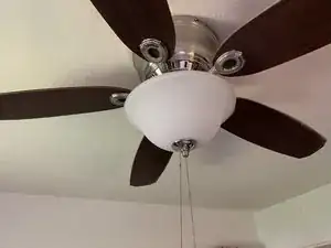 YXFIi6eBqjpNJ4Zl
