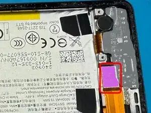 YZgTT2i6c13CUjvO