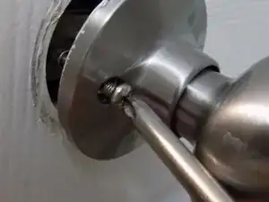 YiokTNnZTlViEWxt