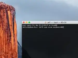 How to Disable Auto Boot