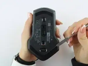 ZpPUdOBBrDUuEmH6