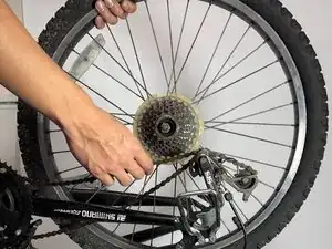 Back Wheel