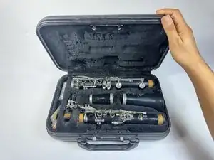 anUPvlicySuLWVrM