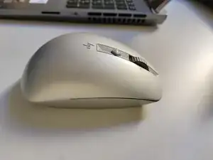 buSZXFoX6MVkq1yT