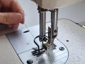 cEMhOhbqJ2XgJTyu