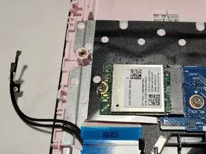 cSrhv5aVHjMONRqO