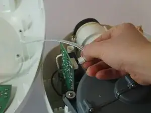 dBAAY2XYOVLhjGUs