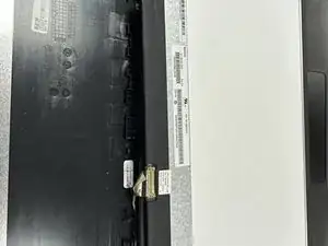 dObmABF5dVIPTl1O
