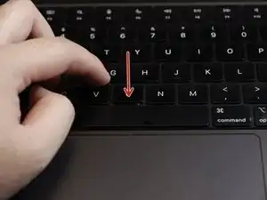 dYCTS4xBFPNZXHEq