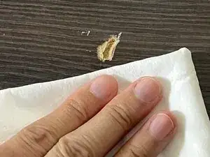 How to Repair a Chip in Laminate Flooring