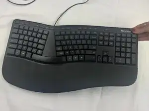 eoGgsTxUy4MXFGL4