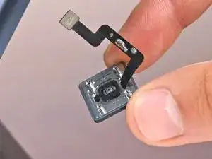Touch ID Sensor