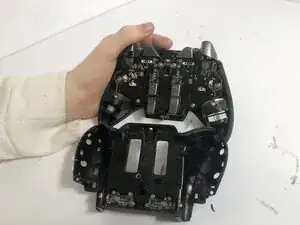 Back Panel