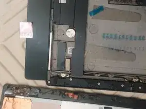 fxwpnTnRDkgwGRYg