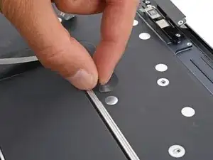 g5fZcMtJ3ISxEvLt