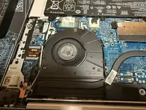 Fan