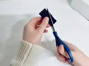 gOMfxs6XKWrOwZFg
