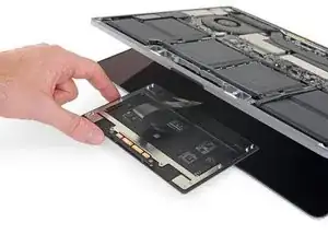 Trackpad Assembly