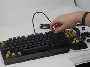 hPh2BMhPkRFVUkY5