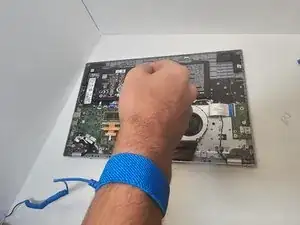 hebBMbdbW6PVLTTZ
